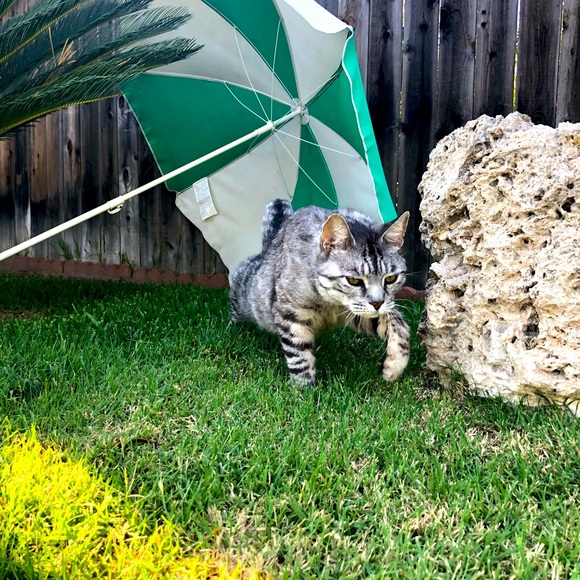 Meet your Posher, Julie - Picture 9 of 16